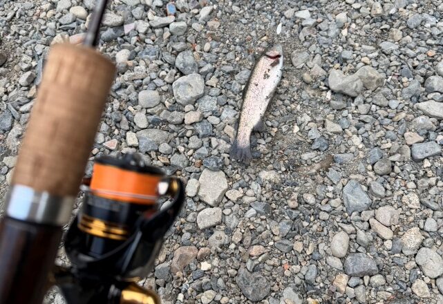 ます釣りに行きました