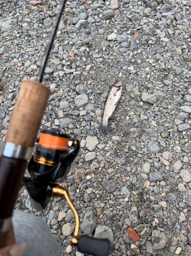 ます釣りに行きました